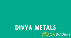 Divya Metals