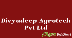 Divyadeep Agrotech Pvt Ltd