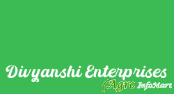 Divyanshi Enterprises