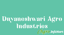 Dnyaneshwari Agro Industries ahmednagar india