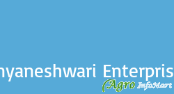 Dnyaneshwari Enterprises nashik india