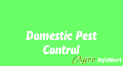 Domestic Pest Control jaipur india