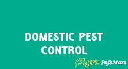 Domestic Pest Control chennai india
