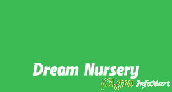 Dream Nursery