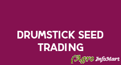 Drumstick Seed Trading