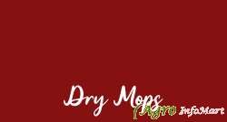 Dry Mops chennai india
