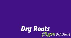 Dry Roots