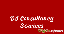 DS Consultancy Services