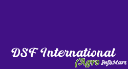 DSF International delhi india