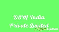 DSM India Private Limited pune india