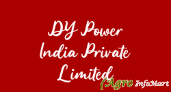DY Power India Private Limited