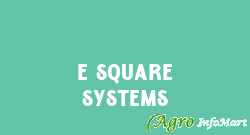 E Square Systems chennai india
