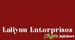 Ealiyun Enterprises bangalore india