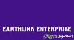 Earthlink Enterprise