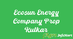 Ecosun Energy Company Prop Kulkar