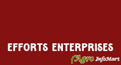 Efforts Enterprises vadodara india