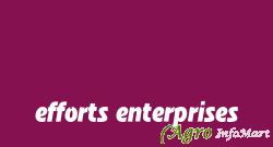 efforts enterprises