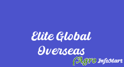 Elite Global Overseas delhi india