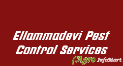 Ellammadevi Pest Control Services bangalore india