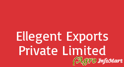 Ellegent Exports Private Limited