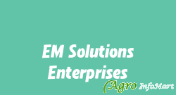 EM Solutions Enterprises