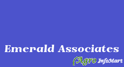 Emerald Associates chennai india