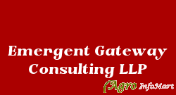 Emergent Gateway Consulting LLP chennai india
