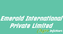 Emerold International Private Limited ghaziabad india