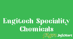 Engitech Speciality Chemicals ahmedabad india