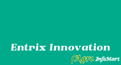 Entrix Innovation