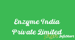 Enzyme India Private Limited