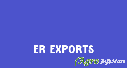 ER Exports surat india