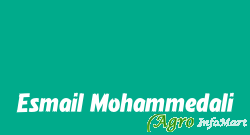 Esmail Mohammedali