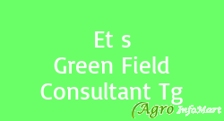 Et s Green Field Consultant Tg ahmedabad india