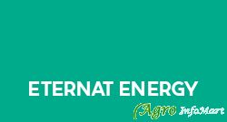 Eternat Energy
