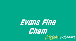 Evans Fine Chem hyderabad india