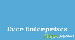 Ever Enterprises