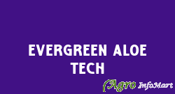 Evergreen Aloe Tech