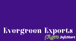 Evergreen Exports mumbai india