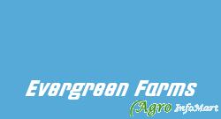 Evergreen Farms bangalore india