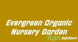 Evergreen Organic Nursery Garden vellore india