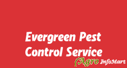 Evergreen Pest Control Service