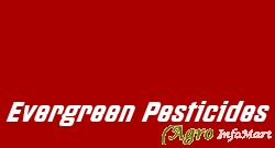 Evergreen Pesticides
