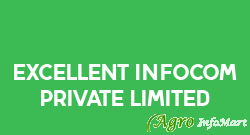 Excellent Infocom Private Limited delhi india