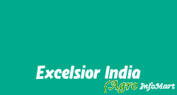 Excelsior India
