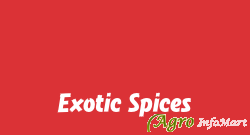 Exotic Spices patna india