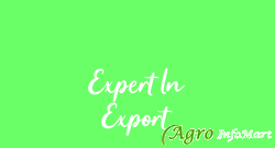 Expert In Export