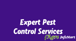 Expert Pest Control Services