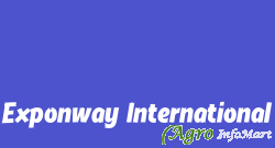 Exponway International