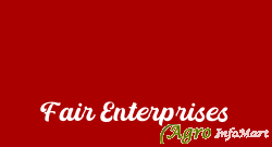 Fair Enterprises delhi india